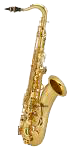 Saxo.png