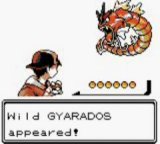 Redgyarados.jpg