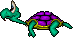 Tortuga macho.png