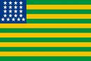 Acnatep--La bandera de Nueva San Petesburgo.jpg