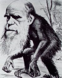 Muestra de Charles Darwin