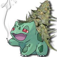 Bulbasaur porrero.jpg