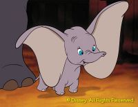 DUMBO.jpg