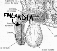 Mapafinlandia.GIF