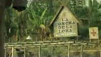 La concha de la lora.jpg