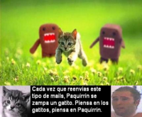 Gatos.png