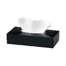 Tissue box.gif