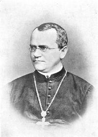 Gregor Mendel Monk.jpg