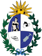 Rio escudo.png