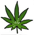 Planta Marihuana.png