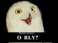 O RLY.PNG