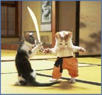 Gatos samurai.jpg