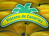 BananaEscudo.jpg