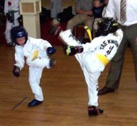 Taekwondo 01.jpg