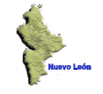 Nuevo leon.gif