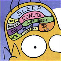 Homer cerebro.jpg