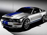 For Mustang Shelby.jpg