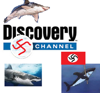 Discovery channel.png