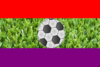 Bandera futbol.png