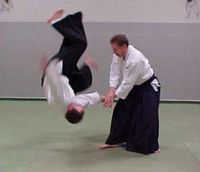 Aikidollave.jpg