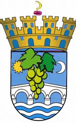 Escudo Ribadavia.jpg