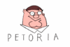 Flag of Petoria.gif