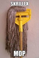 Skrillex-mop-meme.jpg