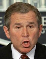 Bush face.jpg