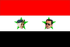 Bandera Siria.PNG