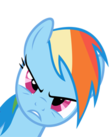 Rainbow dash.png