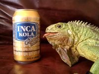 Inca Kola Iguana.jpg