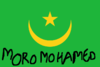 720px-Flag of Mauritania svg2.PNG