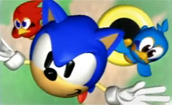 Sonic 3D good ending Saturn.PNG