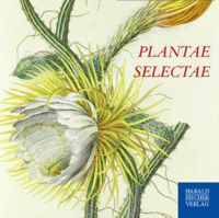 PLANTAE.jpg