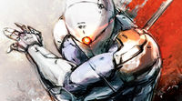 Gray Fox