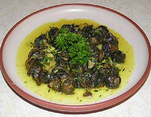 Escargot.jpg