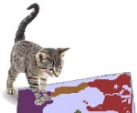 Catmap.jpg