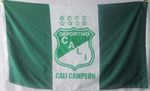 Bandera-del-deportivo-cali.jpg