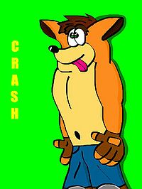 RealCrash1.JPG