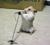 Hamstersinger.jpg