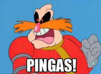 Pingas logo.jpg