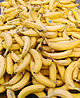 Platano de canarias.jpg