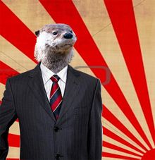 Nutria 11.jpg